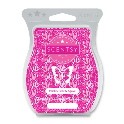 scentsy bar|discontinued scentsy bars.